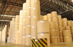 Bao bì Bia Sài Gòn: Giấy cuộn sản xuất thùng carton